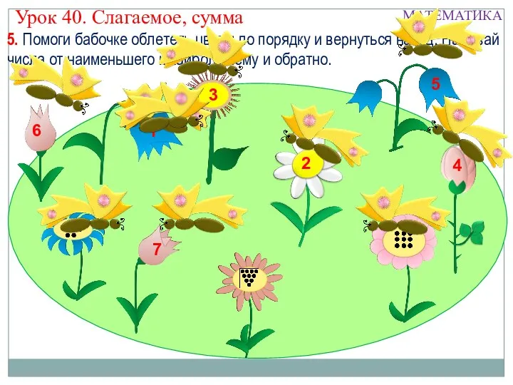 5. Помоги бабочке облететь цветы по порядку и вернуться назад.