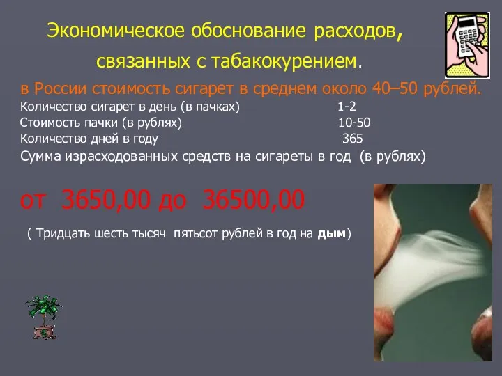 Экономическое обоснование расходов, связанных с табакокурением. в России стоимость сигарет в среднем около