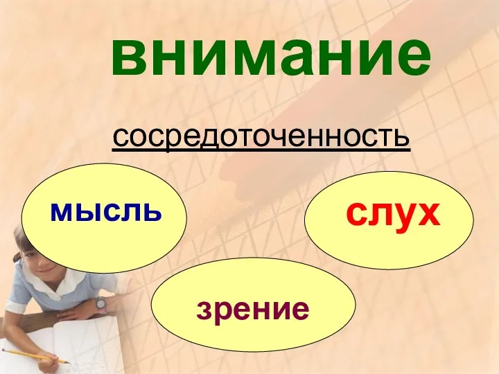 внимание сосредоточенность мысль зрение слух