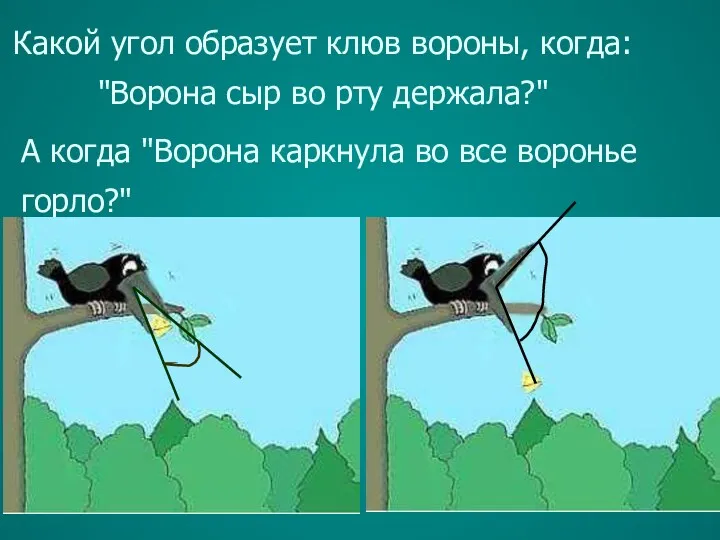 Какой угол образует клюв вороны, когда: "Ворона сыр во рту держала?" А когда