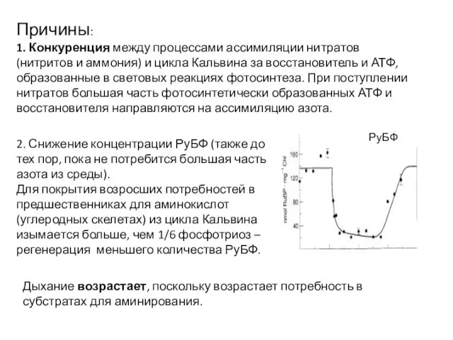 Причины: 1. Конкуренция между процессами ассимиляции нитратов (нитритов и аммония) и цикла Кальвина