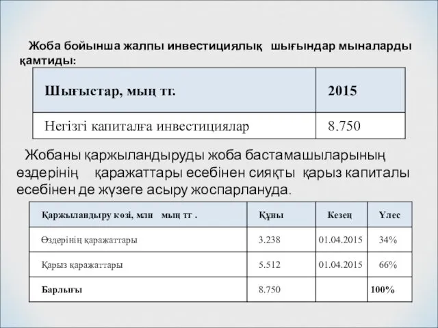 Жобаны қаржыландыруды жоба бастамашыларының өздерінің қаражаттары есебінен сияқты қарыз капиталы