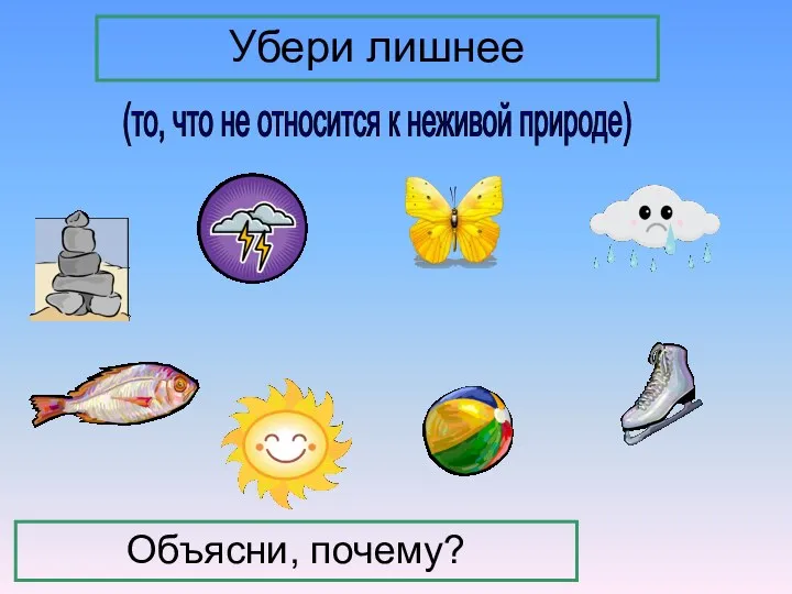 (то, что не относится к неживой природе) Убери лишнее Объясни, почему?