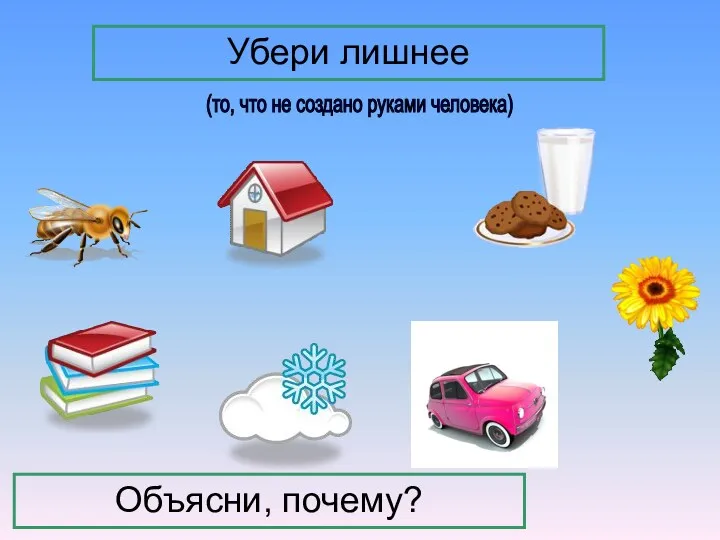 (то, что не создано руками человека) Убери лишнее Объясни, почему?