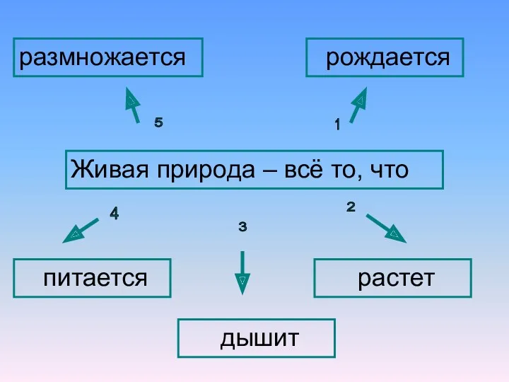 1 5 2 4 3 Живая природа – всё то, что рождается размножается растет питается дышит