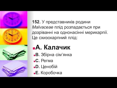 152. У представникiв родини Malvaceae плiд розпадається при дозрiваннi на