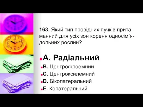 163. Який тип провiдних пучкiв прита-манний для усiх зон кореня