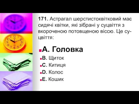 171. Астрагал шерстистоквiтковий має сидячi квiтки, якi зiбранi у суцвiття