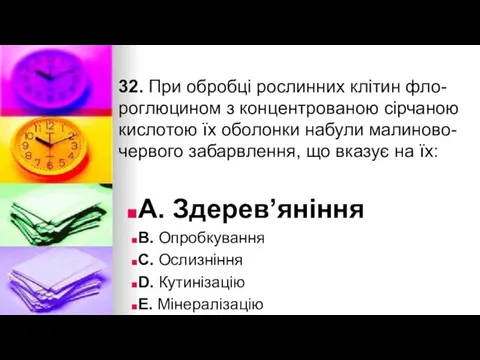 32. При обробцi рослинних клiтин фло- роглюцином з концентрованою сiрчаною