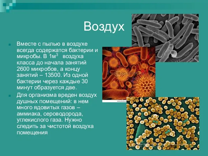 Воздух Вместе с пылью в воздухе всегда содержатся бактерии и микробы. В 1м3