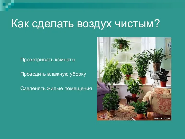 Как сделать воздух чистым? Проветривать комнаты Проводить влажную уборку Озеленять жилые помещения