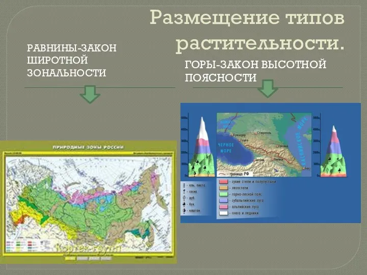 Размещение типов растительности. Равнины-закон широтной зональности Горы-закон высотной поясности