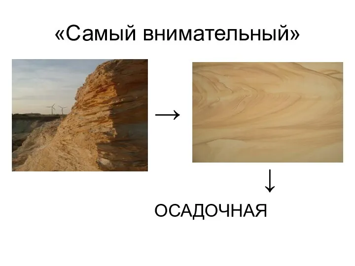 «Самый внимательный» → ОСАДОЧНАЯ ↓