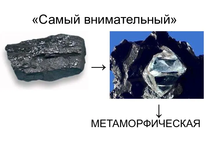 «Самый внимательный» → МЕТАМОРФИЧЕСКАЯ ↓