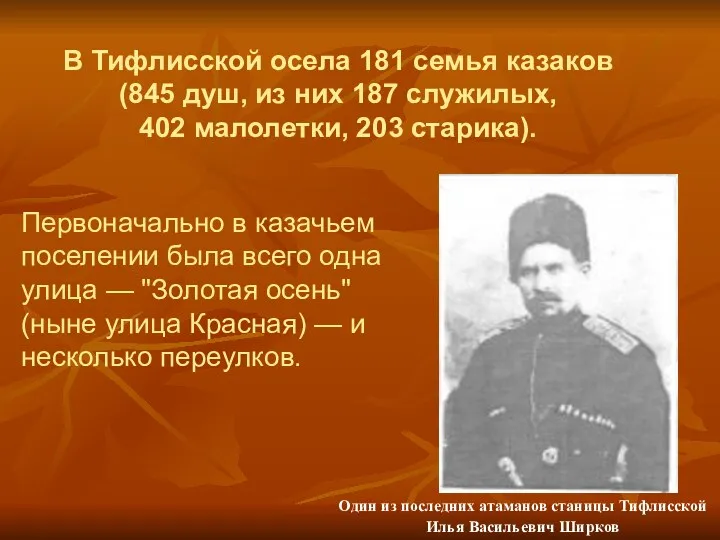 В Тифлисской осела 181 семья казаков (845 душ, из них