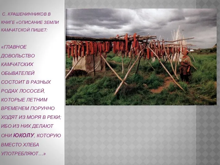 С. КРАШЕНИННИКОВ В КНИГЕ «ОПИСАНИЕ ЗЕМЛИ КАМЧАТСКОЙ ПИШЕТ: «ГЛАВНОЕ ДОВОЛЬСТВО