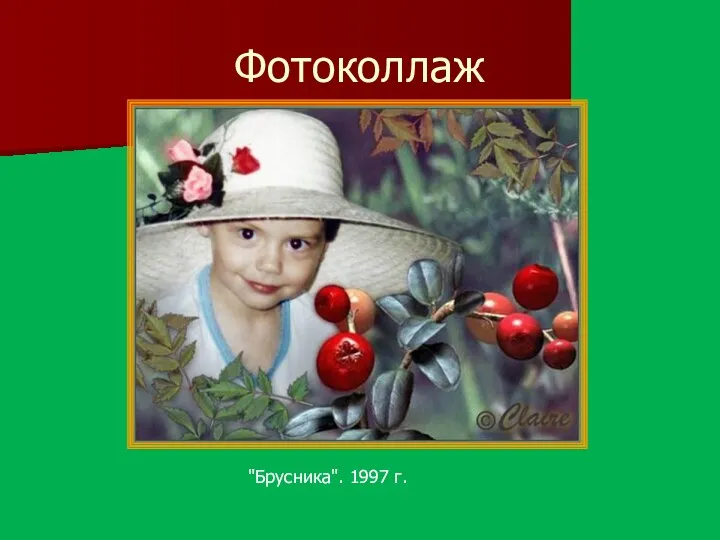 Фотоколлаж "Брусника". 1997 г.