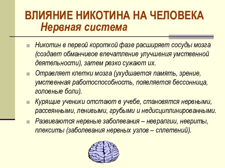 Нервная система Никотин в первой короткой фазе расширяет сосуды мозга