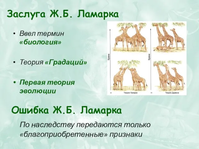 Заслуга Ж.Б. Ламарка Ввел термин «биология» Теория «Градаций» Первая теория