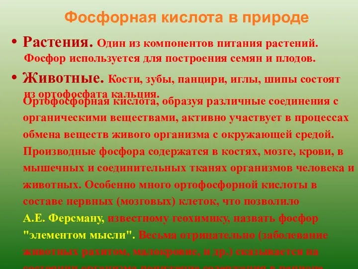 Фосфорная кислота в природе Растения. Один из компонентов питания растений. Фосфор используется для