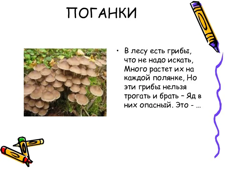 ПОГАНКИ В лесу есть грибы, что не надо искать, Много растет их на