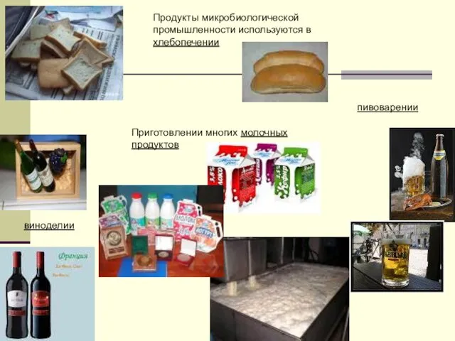 Продукты микробиологической промышленности используются в хлебопечении пивоварении виноделии Приготовлении многих молочных продуктов