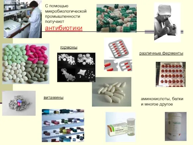 С помощью микробиологической промышленности получают антибиотики гормоны различные ферменты витамины аминокислоты, белки и многое другое