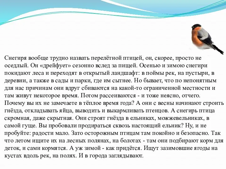 Снегиря вообще трудно назвать перелётной птицей, он, скорее, просто не