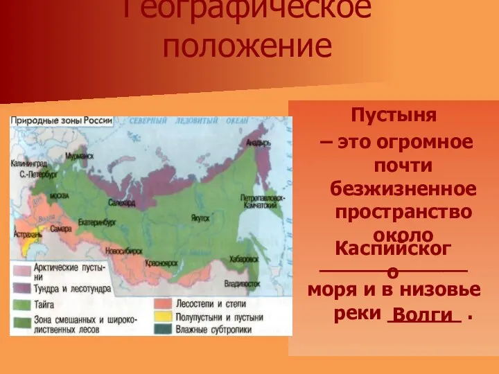 Географическое положение Пустыня – это огромное почти безжизненное пространство около