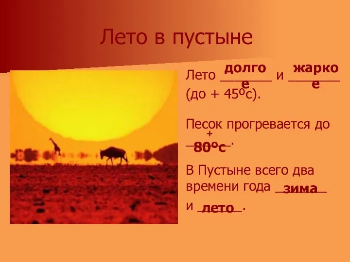 Лето в пустыне Лето _______ и _______ (до + 45ºс).