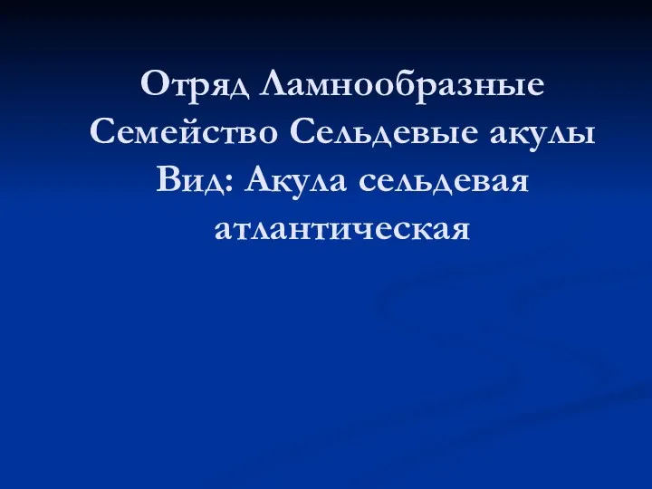 Отряд Ламнообразные Семейство Сельдевые акулы Вид: Акула сельдевая атлантическая