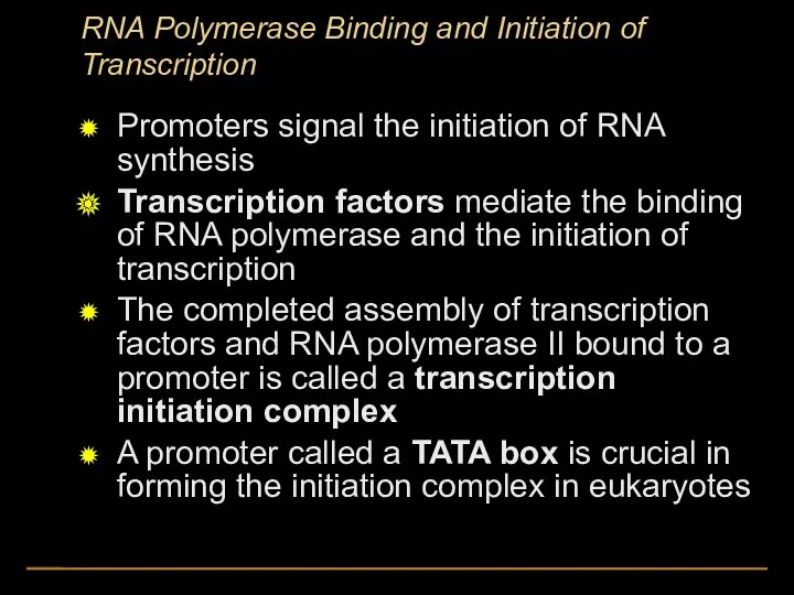 RNA Polymerase Binding and Initiation of Transcription Promoters signal the