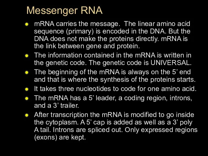 Messenger RNA mRNA carries the message. The linear amino acid