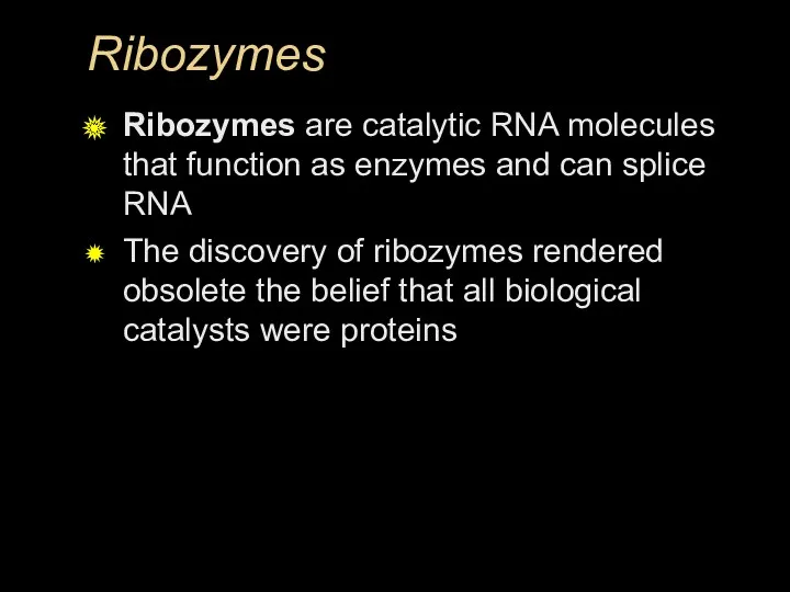 Ribozymes Ribozymes are catalytic RNA molecules that function as enzymes