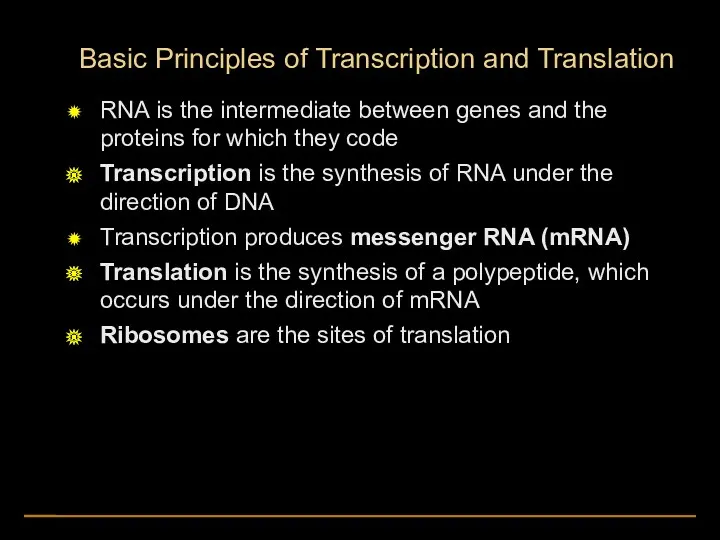 Basic Principles of Transcription and Translation RNA is the intermediate