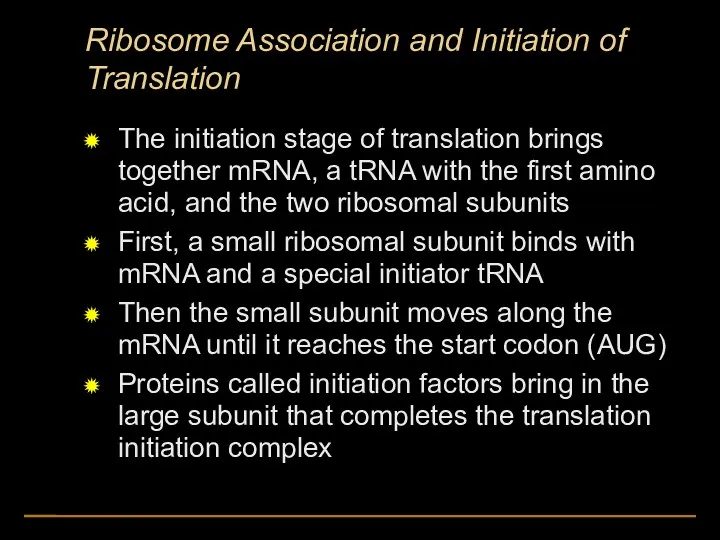Ribosome Association and Initiation of Translation The initiation stage of