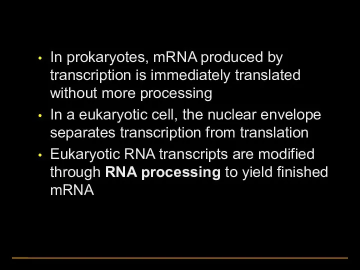 In prokaryotes, mRNA produced by transcription is immediately translated without