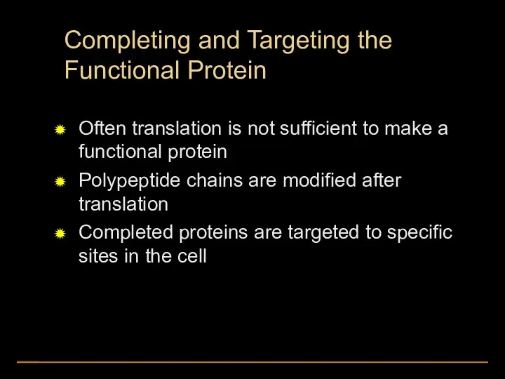 Completing and Targeting the Functional Protein Often translation is not