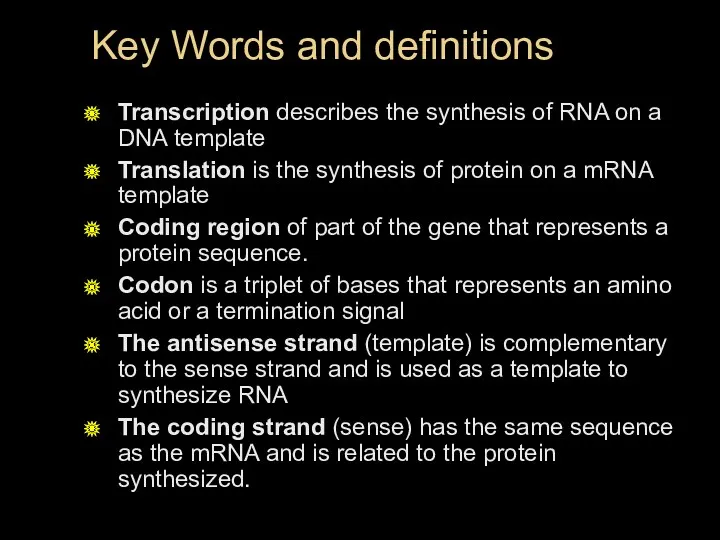 Key Words and definitions Transcription describes the synthesis of RNA