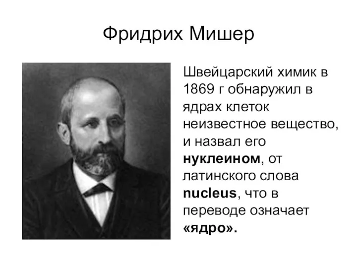 Фридрих Мишер Швейцарский химик в 1869 г обнаружил в ядрах