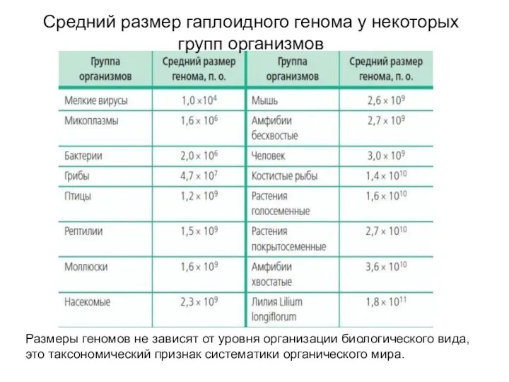 Средний размер гаплоидного генома у некоторых групп организмов Размеры геномов