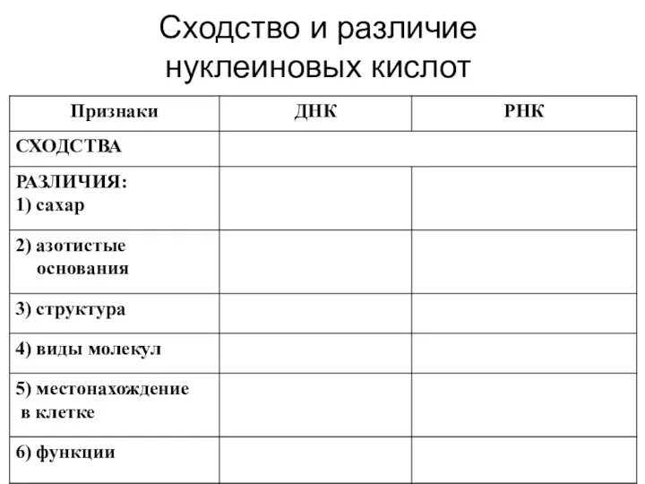 Сходство и различие нуклеиновых кислот