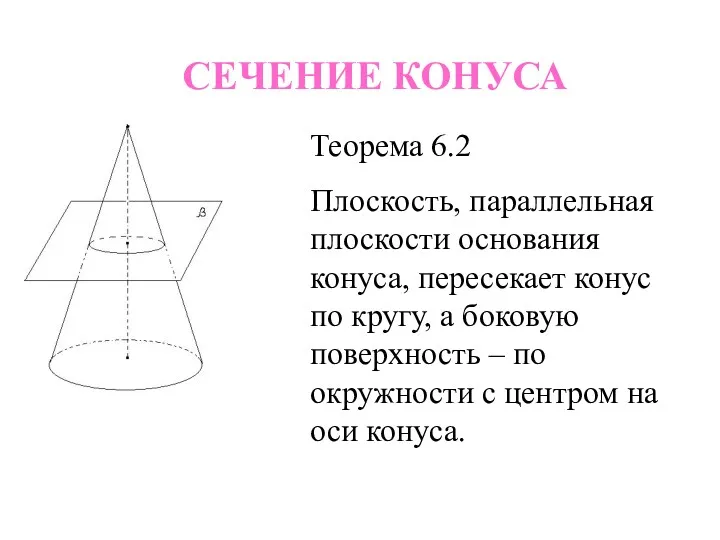 СЕЧЕНИЕ КОНУСА Теорема 6.2 Плоскость, параллельная плоскости основания конуса, пересекает конус по кругу,