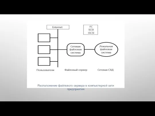Расположение файлового сервера в компьютерной сети предприятия
