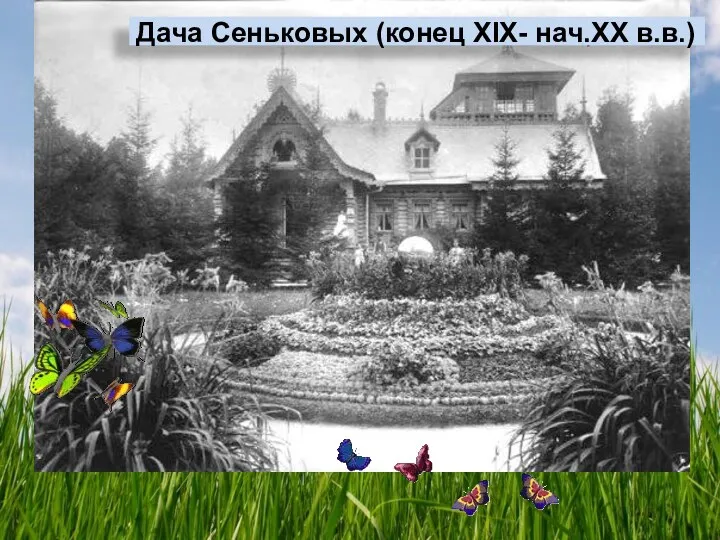 Дача Сеньковых (конец XIX- нач.XX в.в.)