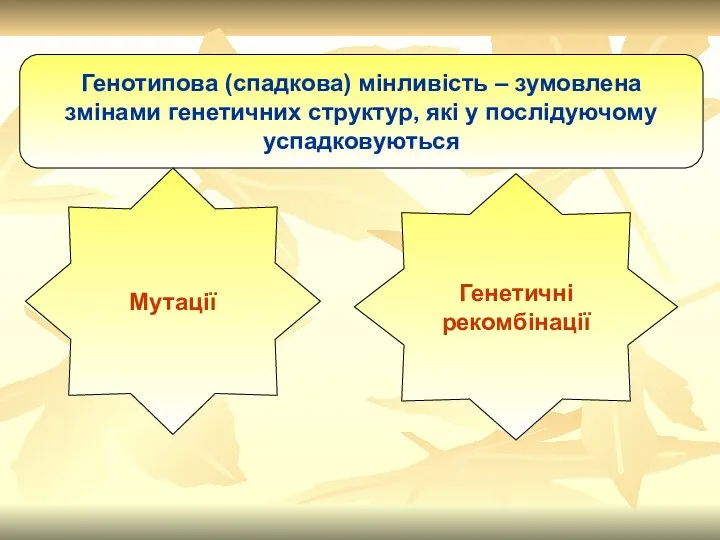 Генотипова (спадкова) мінливість – зумовлена змінами генетичних структур, які у послідуючому успадковуються Мутації Генетичні рекомбінації