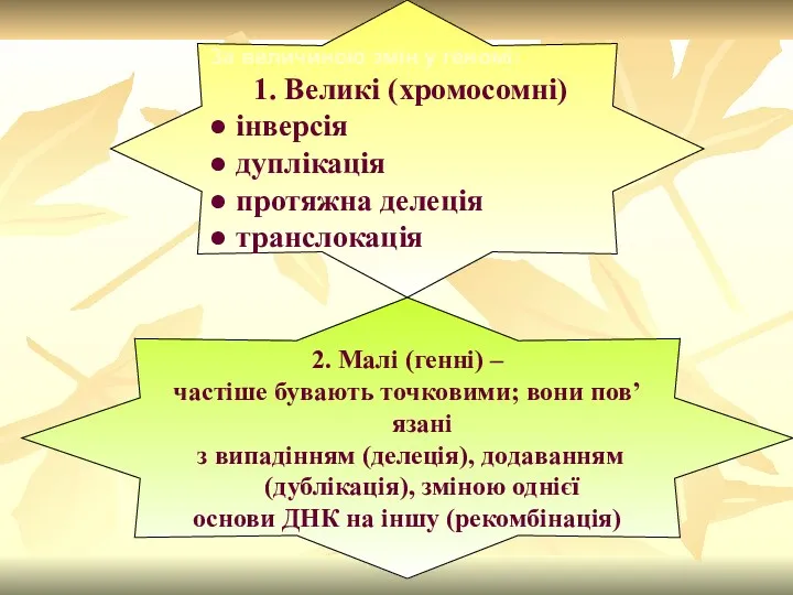 За величиною змін у геномі: 1. Великі (хромосомні) ● інверсія ● дуплікація ●