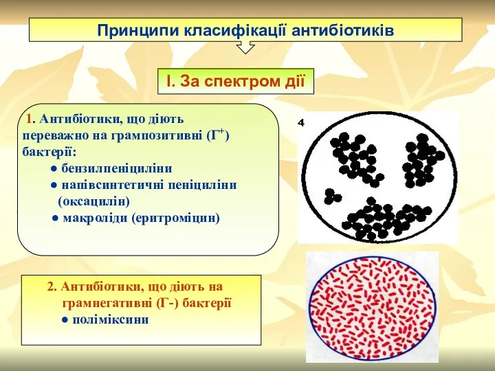 Принципи класифікації антибіотиків І. За спектром дії 1. Антибіотики, що