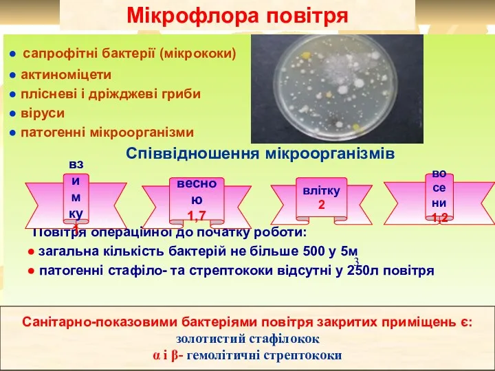 Мікрофлора повітря ● сапрофітні бактерії (мікрококи) ● актиноміцети ● плісневі і дріжджеві гриби