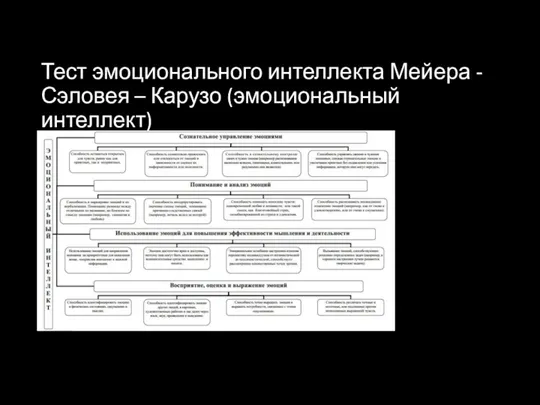 Тест эмоционального интеллекта Мейера - Сэловея – Карузо (эмоциональный интеллект)